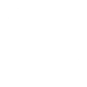 النماذج الإدارية الرقمية بنادي ضمك